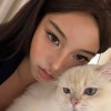 吉林网友46255