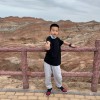 陕西网友14521