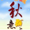 河北网友20899