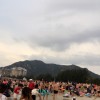 青海网友46286