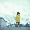 浙江网友92449