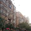 海南网友16457
