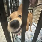 QQ头像