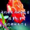 江西网友65110