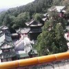 云南网友33462