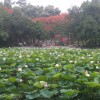辽宁网友21428