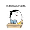 海南网友99089