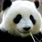 QQ头像