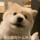 QQ头像