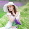 西藏网友62309