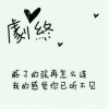 海南网友31262