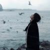 河南网友50203