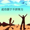 重庆网友59824