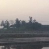 浙江网友19972