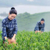 广西网友90364