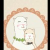 湖北网友27685