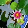 宁夏网友35827