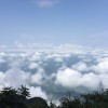河北网友46794