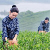 云南网友35841