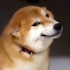 QQ头像