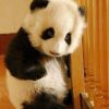 广东网友79772