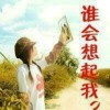 澳门网友91112