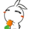黑龙江网友13675
