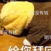 山东网友98312
