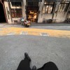 广西网友49642