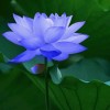 江西网友71681