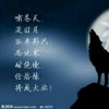 甘肃网友11586