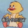 额外我的头像-无忧免费游戏网