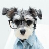 网友昵称：stgo