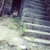 山西网友29101