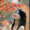 甘肃网友22506