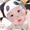 河南网友95917
