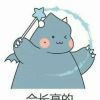 浙江网友45266