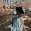 河南网友30530