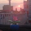 青海网友95592