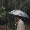 云南网友62877