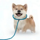 QQ头像