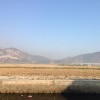 甘肃网友51902
