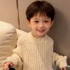 陕西网友16140