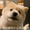 贵州网友43364