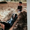云南网友45492