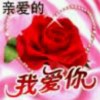 上海网友58090