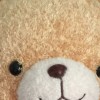 河南网友69743
