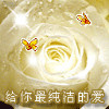 QQ头像
