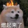 福建网友97199