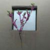 山东网友31119
